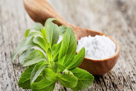 Things You Need To Know About Natural Stevia Sugar